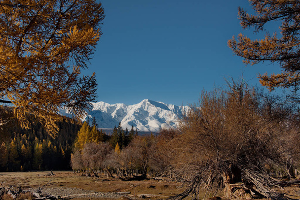 Herfst in de Altaj - Foto, afbeelding