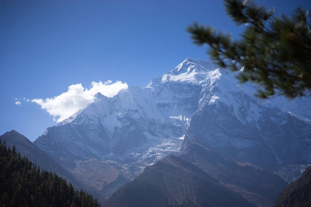 Peak and trees in the Himalaya mountains, Annapurna region, Nepal - Foto, afbeelding
