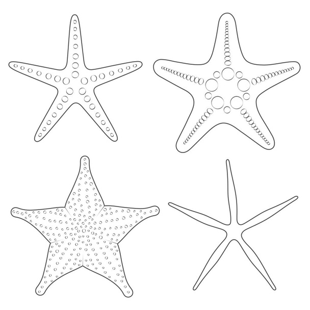 Set of graphic black and white images of sea stars. Isolated vector objects. - Vektor, obrázek
