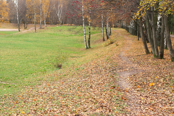 Autumn in city park - Zdjęcie, obraz