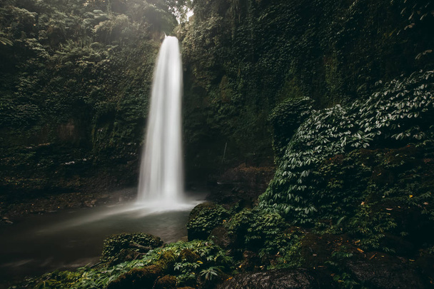 Beautiful big waterfall in green forest. Nature landscape - 写真・画像