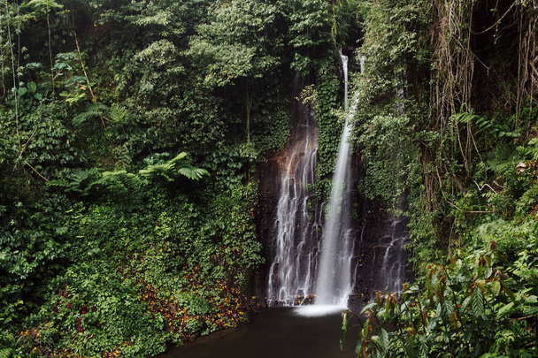 Beautiful waterfall in green forest. Nature landscape background - Фото, зображення