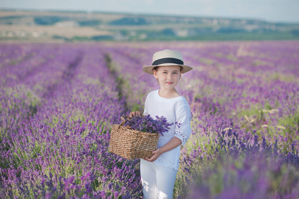 Girl in a straw hat in a field of lavender with a basket of lavender. A girl in a lavender field. Girl with a bouquet of lavender. - Fotografie, Obrázek