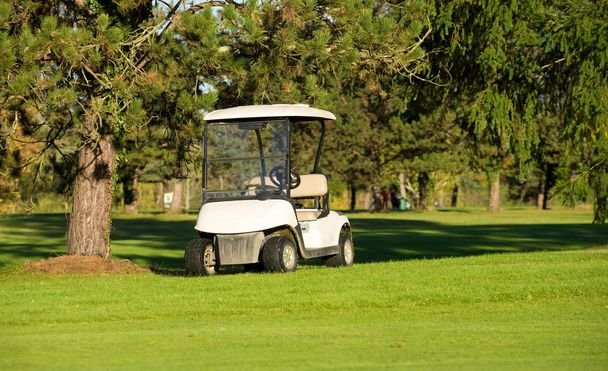 Carros de golf en un campo de golf
 - Foto, imagen