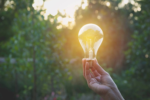 アイデアと創造性、成功、太陽エネルギー概念のため電球を保持している人の手.  - 写真・画像