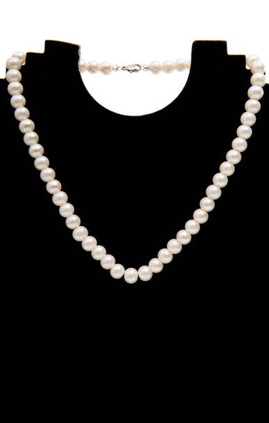 分離された真珠のネックレス  - 写真・画像
