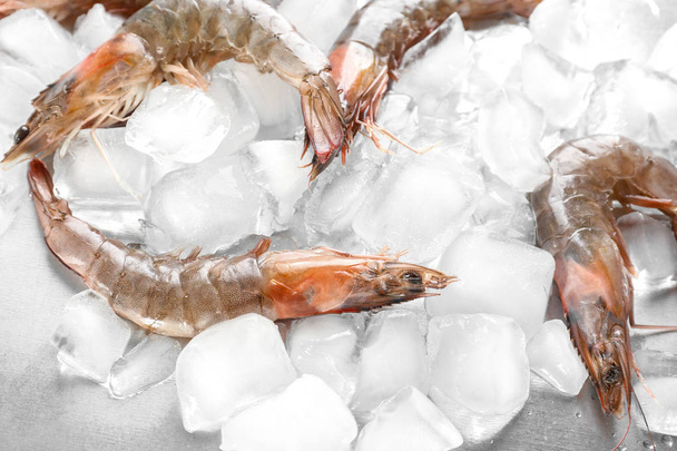 Fresh shrimps on ice cubes - Foto, Imagen