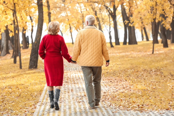 Elderly couple walking in park on autumn day - Foto, imagen