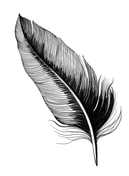 羽。黒と白インクのイラスト - 写真・画像