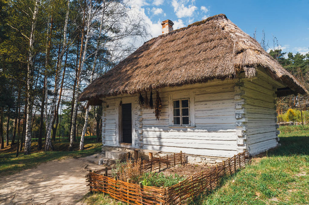 Vecchia casa di tronchi bianchi con tetto di paglia
 - Foto, immagini
