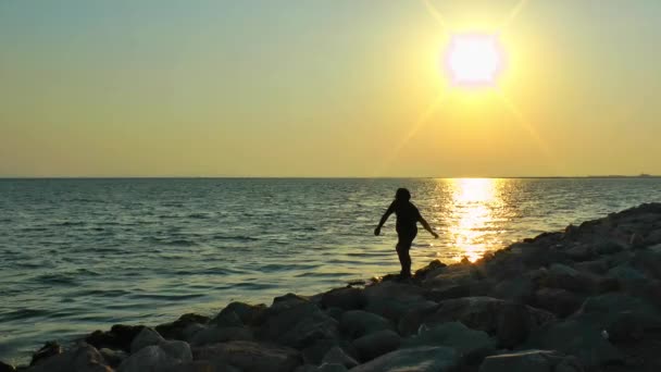 海に石を投げる男 - 映像、動画