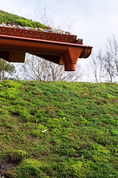 Détail des pierres sur une vaste végétation verte sur le toit
  - Photo, image