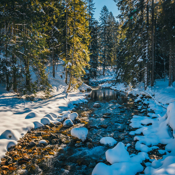 Zimní horská řeka v lese, Tater, Polsko - Fotografie, Obrázek