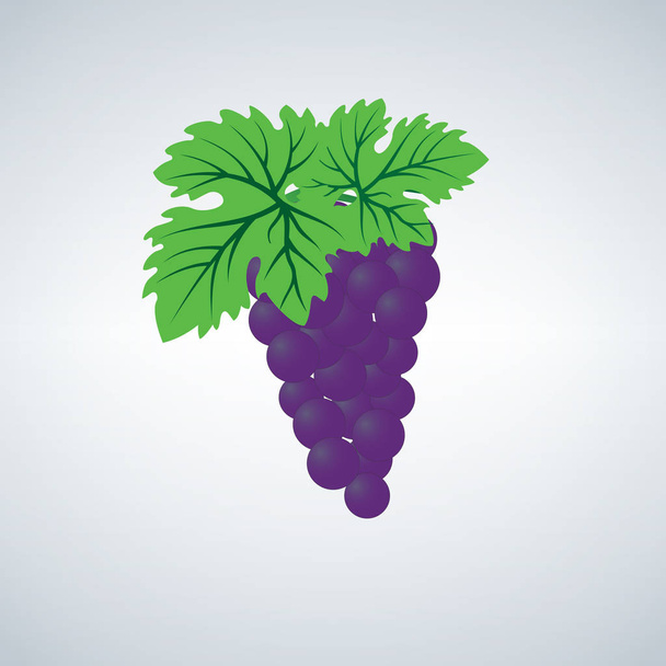 Weinreben-Vektorsymbol in lila und grünen Farben - Vektor, Bild