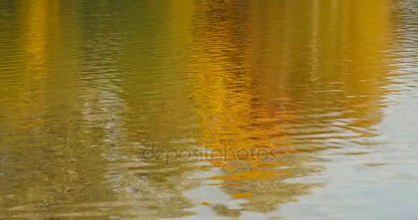 Podzimní krajina denní světlo odráží ve vodě - Záběry, video