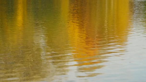 Podzimní krajina denní světlo odráží ve vodě - Záběry, video