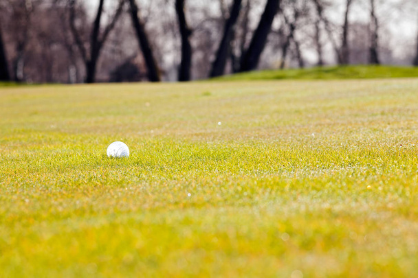 golf course with trees around, note shallow depth of field - Foto, immagini