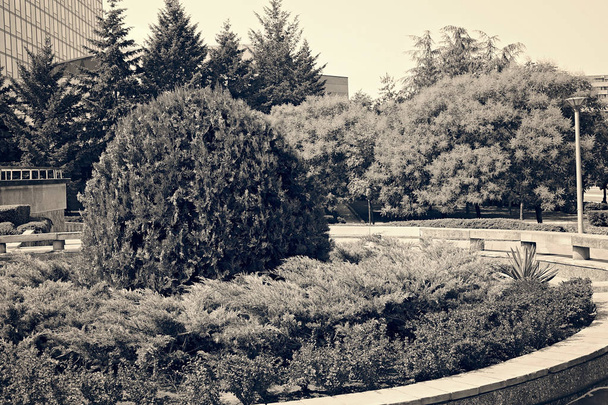 zahradní úpravy parku kolem budovy, všimněte si mělké hloubky pole - Fotografie, Obrázek