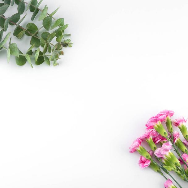 Foglie di eucalipto bambino e fiori di garofano rosa
 - Foto, immagini