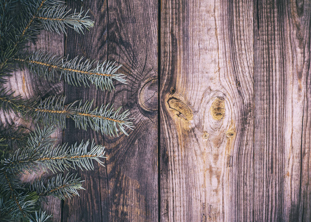 drewniane tła z gałęzią świerka - Zdjęcie, obraz