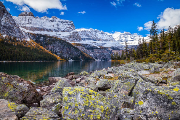 Boom Lake, Banff nemzeti parkban, Alberta, Kanada - Fotó, kép
