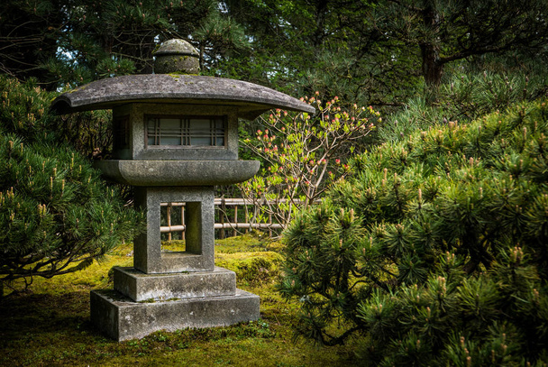 Japanse tuin met stenen lantaarn - Foto, afbeelding