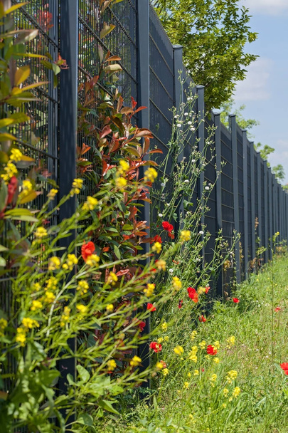 metal fence around the facility through which to grow hedges and flowers, note shallow depth of field - Photo, Image