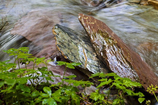 πέτρα κάτω από τα νερά του βουνού, σημειώστε ρηχό βάθος του πεδίου - Φωτογραφία, εικόνα