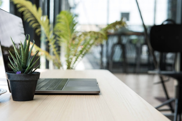 computador, vaso de plantas na mesa de madeira. laptop no local de trabalho do escritório
. - Foto, Imagem