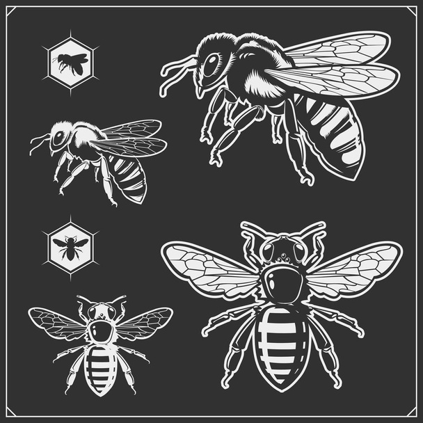 Set of honey emblems and design elements. Honeycombs, bee silhouettes. - Vector, Imagen
