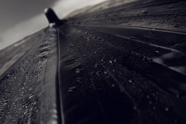 Guarda-chuva molhado com gotas de chuva fechadas. Tempo chuvoso
.  - Foto, Imagem