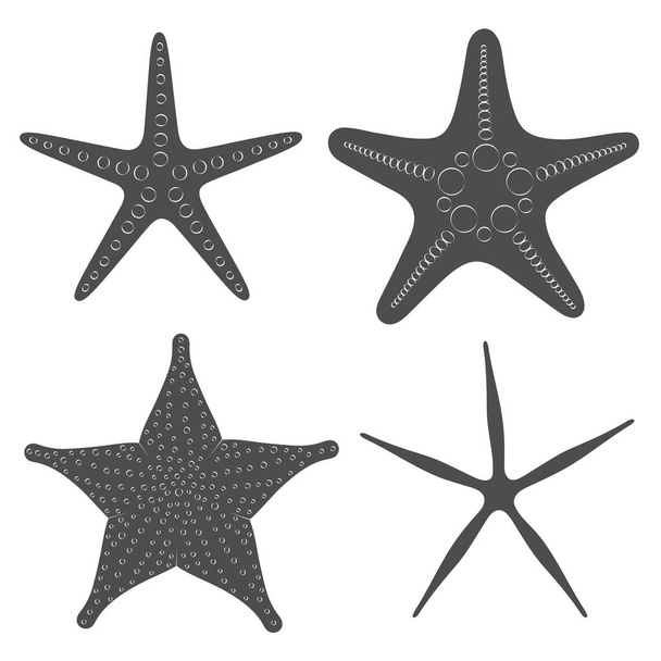 Set of graphic black and white images of sea stars. Isolated vector objects. - Вектор, зображення