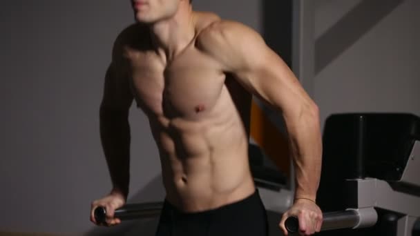 Sterke krachtige mannelijke oefeningen voor de borstspieren en triceps met dips. Close-up, verlichting van het lichaam. - Video