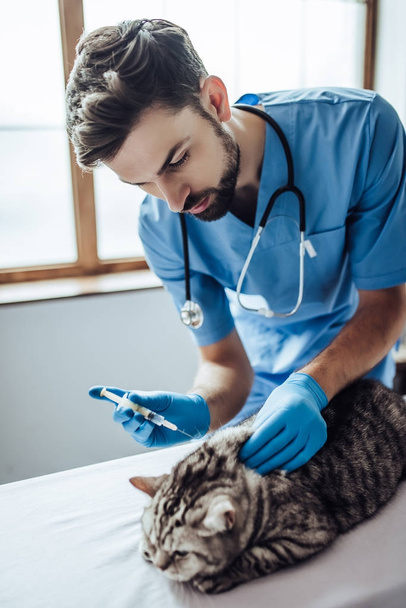 Doctor veterinarian at clinic - Foto, immagini