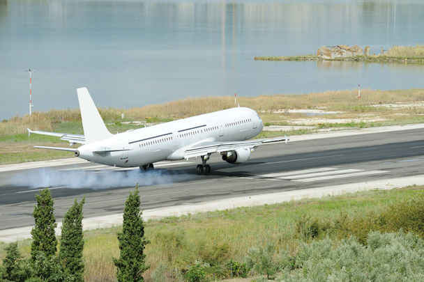 Airplane landing - Photo, Image