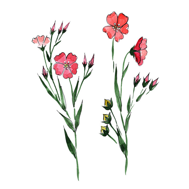 Wildflower flax flower in a watercolor style isolated. - Photo, Image