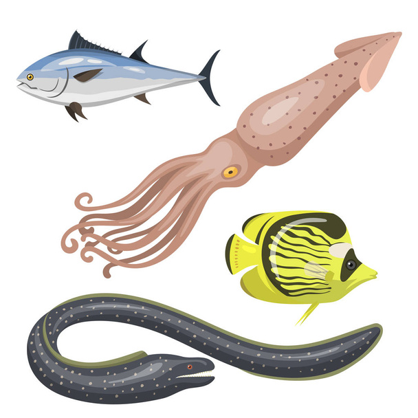 海の動物イラスト熱帯文字野生動物海洋水産魚の種類のセット - ベクター画像