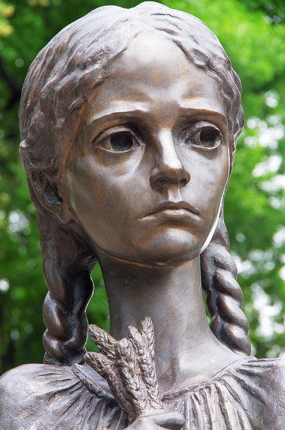 ウクライナの Holodomor の犠牲者の記念碑 - 写真・画像