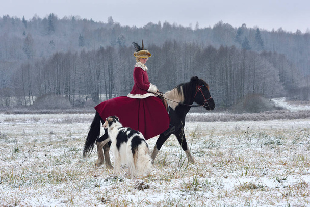 Reconstruction of the traditional hunting with russian wolfhound - Photo, Image