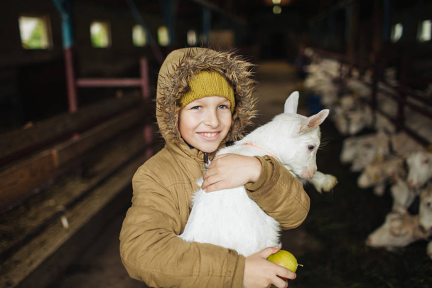 Little boy hugging goat on the goat cheese farm - Zdjęcie, obraz