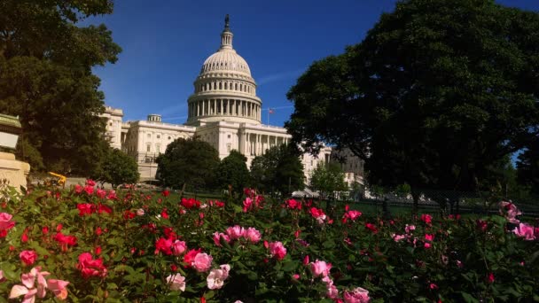WASHINGTON, DC, USA - Circa 2017: Il Campidoglio degli Stati Uniti, spesso chiamato Campidoglio, è la sede del Congresso degli Stati Uniti, e la sede del ramo legislativo del governo federale degli Stati Uniti
. - Filmati, video