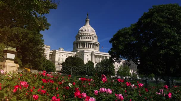WASHINGTON, DC, USA - Circa 2017: El Capitolio de los Estados Unidos, a menudo llamado el Capitolio, es el hogar del Congreso de los Estados Unidos, y la sede del poder legislativo del gobierno federal de los Estados Unidos
. - Metraje, vídeo