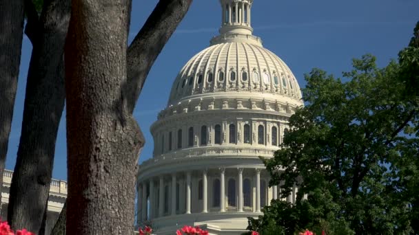 Вашингтон, округ Колумбія, США - близько 2017: The U S Капітолію, часто називають будівлі Капітолію, є домом U S Конгресу і сидіння з законодавчої влади федерального уряду США. - Кадри, відео