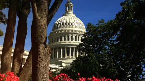 WASHINGTON, DC, USA Circa 2017: U S Capitol, jota usein kutsutaan Capitol Buildingiksi, on Yhdysvaltojen kongressin koti ja Yhdysvaltain liittovaltion lakiosaston kotipaikka.
. - Materiaali, video