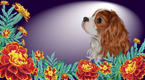Spaniel cão realista calêndula escuro
 - Vetor, Imagem