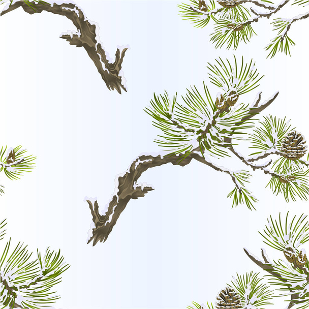Bezešvých textur borových větvích a šišky jehel a sníh vintage vektorové botanické ilustrace pro návrh upravovat - Vektor, obrázek