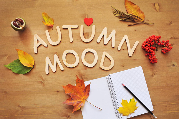 autumn mood composition background - Valokuva, kuva