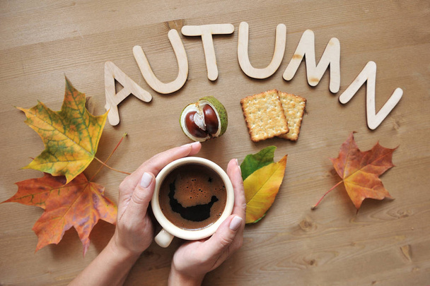 autumn mood composition background - Фото, зображення