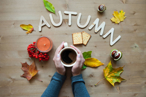 autumn mood composition background - Фото, зображення