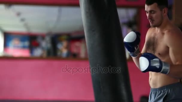 Svalnatý muž profesionální boxer vlaky od boxovací pytel v tělocvičně v Boxerské rukavice rozhalenou. - Záběry, video